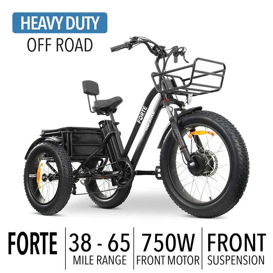 GOBike Forte - Step-Through Fat Tire Electric Tricycle - Top Speed 20mph - 750W