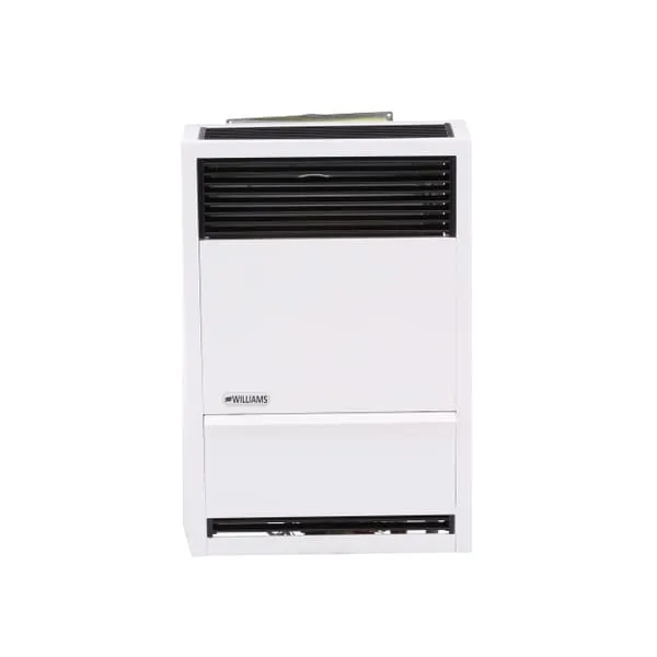 Williams Direct-Vent Furnace 14,000 BTU - LP