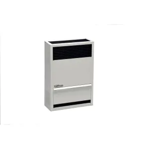 Williams Direct-Vent Furnace 14,000 BTU - LP