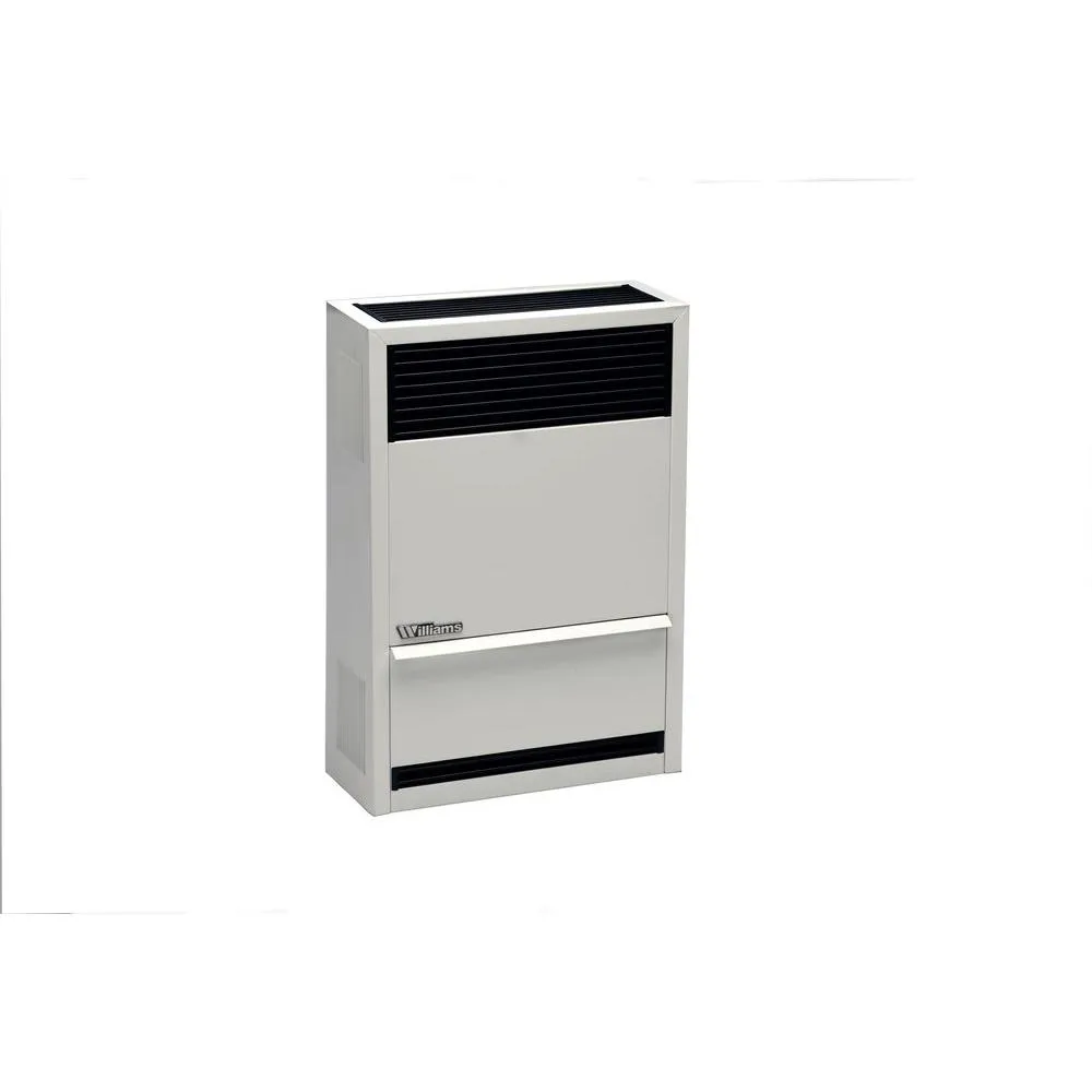 Williams Direct-Vent Furnace 14,000 BTU - LP